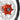 KKE 21/18 Enduro CUSH Drive For KTM EXC EXC-F EXC-W 125-530CC 2003-2024 Off Road Dirtbike Wheels KKE Racing