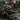 Plews Tyres - EN1 GRAND PRIX - EXTREME - THE TOUGH ONE - Gummy Enduro Rear Tire Risk Racing