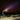 Voyager Dirt Bike Helmet Light Kit by Oxbow - Battery Powered Dirt Bike Helmet Light Oxbow