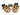 Foot Peg (Replaceable Insert/ Grip) Surron, E-Ride Pro, 79 Bike Titanium Surron