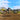 Plews Tyres - MX1 HAWKSTONE GP - Soft - Sand/Mud Paddle Rear Tire Risk Racing