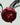 Sotion Race Motor GTS01 Titanium Surron