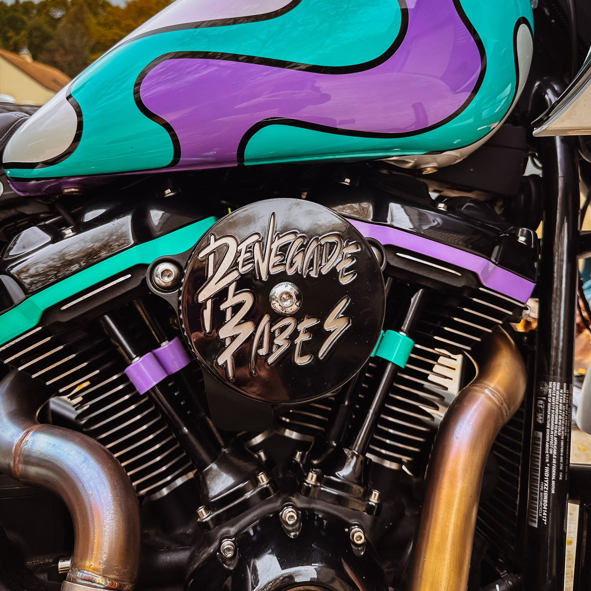 Renegade Babes Signature Air Cleaner Cover - Air Filter Cover for Harley Davidson Renegade Babes