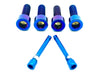 220mm Rotor Titanium Caliper Bolt Kit for Surron, Talaria, Segway (30mm bolts) Titanium Surron