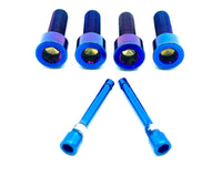 220mm Rotor Titanium Caliper Bolt Kit for Surron, Talaria, Segway (30mm bolts) Titanium Surron