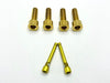 220mm Rotor Titanium Caliper Bolt Kit for Surron, Talaria, Segway (30mm bolts) Titanium Surron