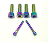 220mm Rotor Titanium Caliper Bolt Kit for Surron, Talaria, Segway (30mm bolts) Titanium Surron