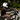 Biltwell Gringo Helmets LiveTheGnar
