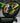Rabaconda Duck Head for Cross-Spoked Wheels for Street Bike Tire Changer Rabaconda