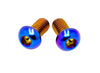 Titanium Ignition Cover Bolts (Set of Two M5) Talaria