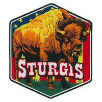 Hot Leathers Sturgis Bison Americana 10" Patch PPQ2679 Hot Leathers