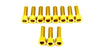 RST Fork Titanium Bolt Kit (E-Ride Pro Stock Fork) Titanium Surron