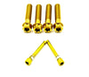 Spline Head 220mm Rotor Titanium Caliper Bolt Kit for Surron (30mm bolts) Titanium Surron