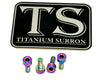 Titanium Baja Designs Headlight Cover Plate Bolts (4)