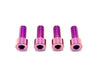 Titanium Bash Guard/ Skid Plate Bolts - Surron LBX and Segway (Set of 4) Titanium Surron