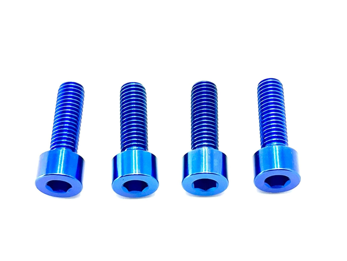 Titanium Bash Guard/ Skid Plate Bolts - Surron LBX and Segway (Set of 4) Titanium Surron