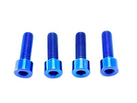 Titanium Bash Guard/ Skid Plate Bolts - Surron LBX and Segway (Set of 4) Titanium Surron