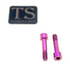 Titanium Caliper Bolts - Surron Ultra Bee Front Only