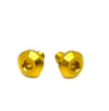 Titanium Chain Guard Bolts (Set of Two) Surron & Segway Titanium Surron