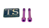 Titanium Hardware for EMoto Worx Shift Lock (LBX, XXX, ERP, Ultra Bee) Titanium Surron