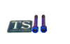 Titanium Hardware for EMoto Worx Shift Lock (LBX, XXX, ERP, Ultra Bee) Titanium Surron
