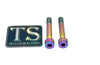 Titanium Hardware for EMoto Worx Shift Lock (LBX, XXX, ERP, Ultra Bee) Titanium Surron