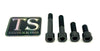 Titanium Motor Bolts - Surron LBX Titanium Surron