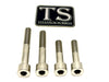 Titanium Motor Bolts - Surron Ultra Bee