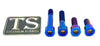 Titanium Motor Bolts - Talaria XXX Titanium Surron