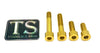 Titanium Motor Bolts - Talaria XXX Titanium Surron