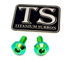 Titanium Surron Ultra Bee Brake Hand Guard Bolts