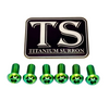 Controller Mount Bolts for Surron, Talaria MX3/MX4 & XXX, E-Ride Pro