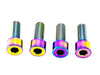 Talaria XXX Seat Subframe or Foot Peg Titanium Bolts (4)