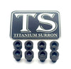 Ventus V9600 Heat Sink Titanium Bolt Kits (8 pcs)