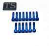 Altis Sigma Drivetrain Cover Custom 6 or 8 Piece Titanium Bolt Kit Titanium Surron