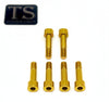 Altis Sigma Drivetrain Cover Custom 6 or 8 Piece Titanium Bolt Kit Titanium Surron