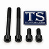 Titanium Motor Mount Bolt Kit for Altis Sigma