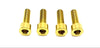Axle Pinch Titanium Bolts for KKE/ DNM Forks Titanium Surron