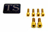 E-Ride Pro SS / S Titanium Stem Bolt Kit Titanium Surron