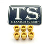 EBMX X9000 Heat Sink Titanium Bolt Kits (6) - LiveTheGnar