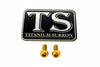 Formula Brake Reservoir Cap Titanium Bolts - LiveTheGnar