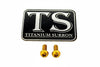 Formula Brake Reservoir Cap Titanium Bolts
