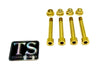 Rear Suspension/ Linkage Titanium Bolt Kit for E-Ride Pro ERP Titanium Surron