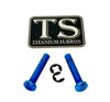 Titanium Battery Lid Pins - Surron LBS LBX, Segway X160 X260