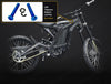 Titanium Battery Lid Pins - Surron LBS LBX, Segway X160 X260