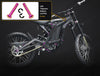 Titanium Battery Lid Pins - Surron LBS LBX, Segway X160 X260