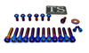 Titanium Bolt Kit for Sirris F43 Fork (21 Pieces)