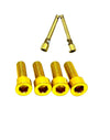 Titanium Caliper Bolt Kit for Surron, Talaria, Segway, 79 Bike (20mm)