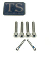 220mm Rotor Titanium Caliper Bolt Kit for Surron, Talaria, Segway (30mm bolts) - LiveTheGnar