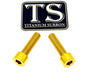 Titanium Caliper Bolts - Surron Ultra Bee Front Only